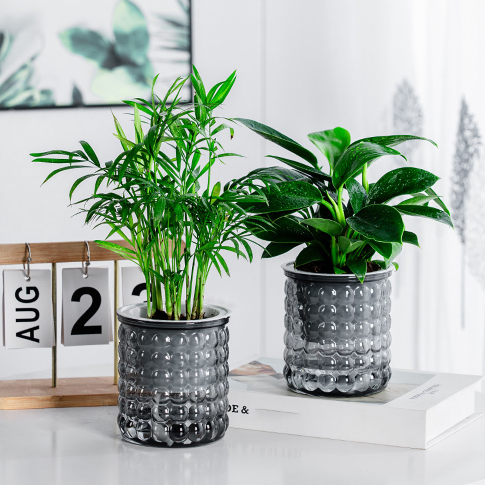 Hydroponic Grow Pod - Новый самополивный горшок для гидропонных растений,