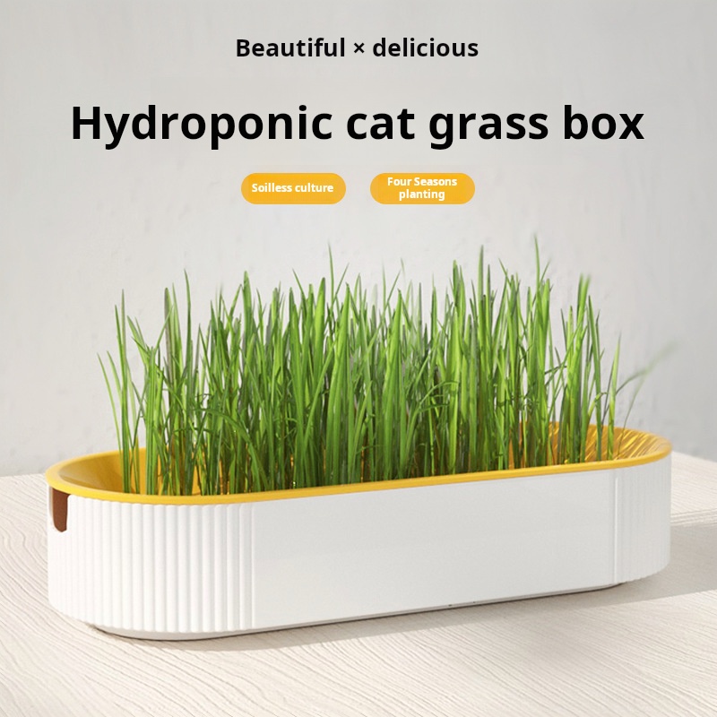 Набор для выращивания кошачьей – обзор и цена Hydroponic Grow Pod