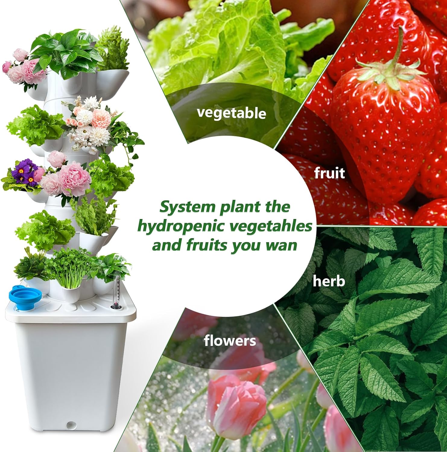 Комплект для гидропонного выра – обзор и цена Hydroponic Grow Pod