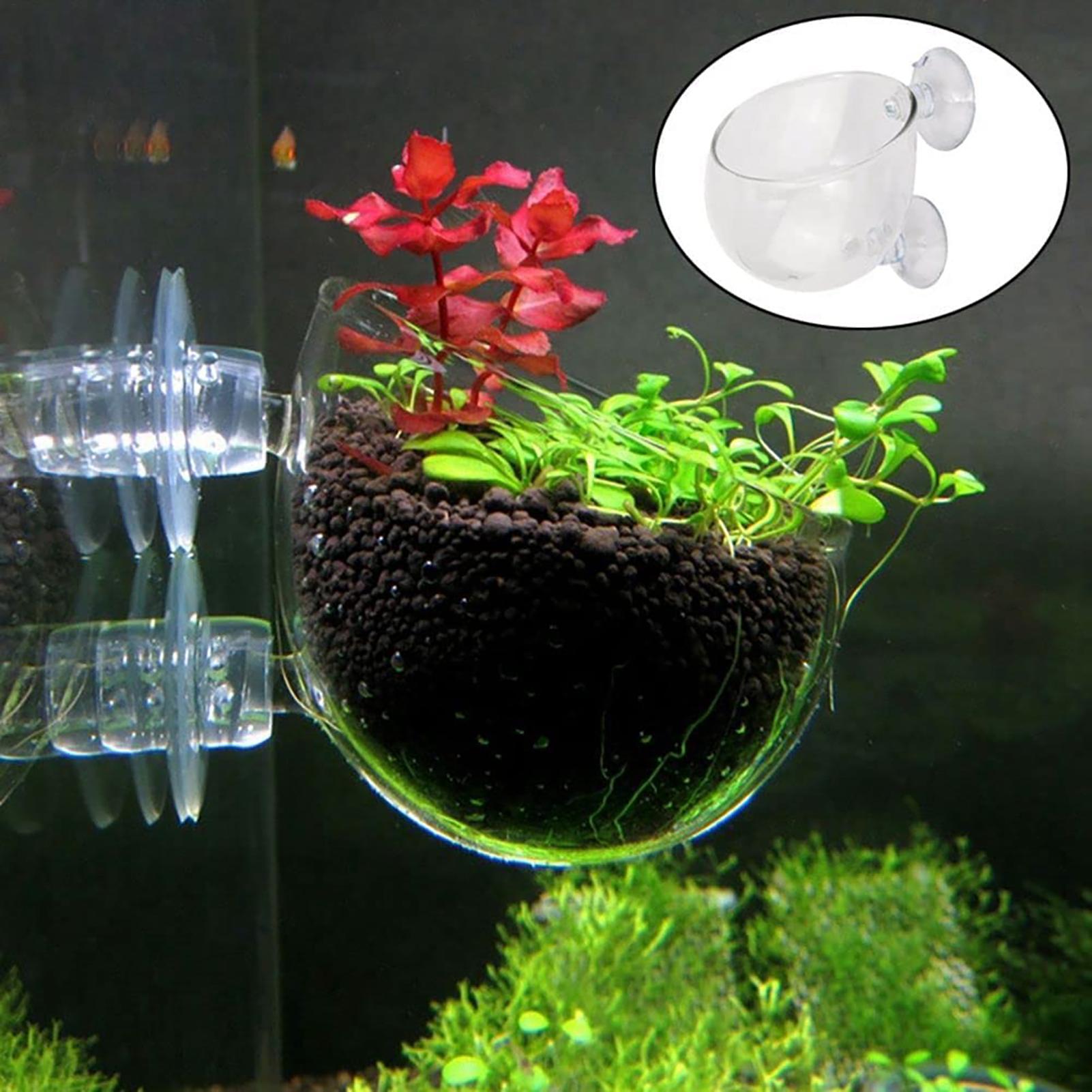 Горшок для водных растений, пр – обзор и цена Hydroponic Grow Pod