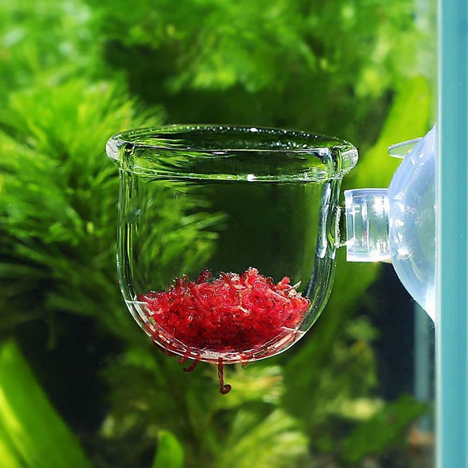 Горшок для водных растений, пр – обзор и цена Hydroponic Grow Pod